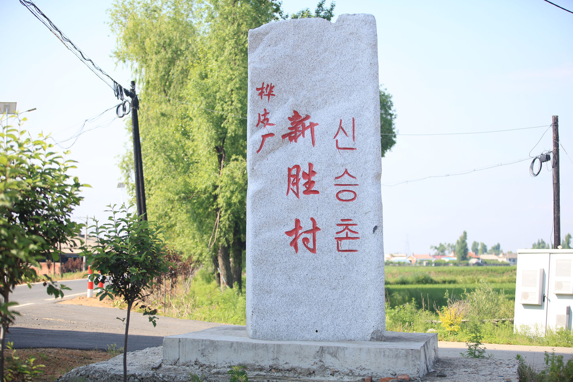 吉林大米种植基地